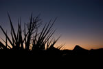 Mexico and Big Bend Trip Report