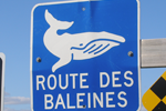Rt 138 to Baie Comeau, Quebec
